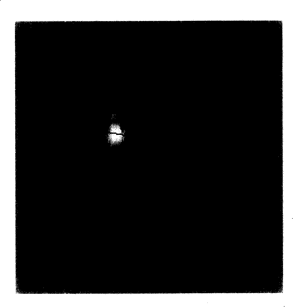 Pyridoxal phosphate internally cross-linked hematoglobin nanocapsule and its preparing method