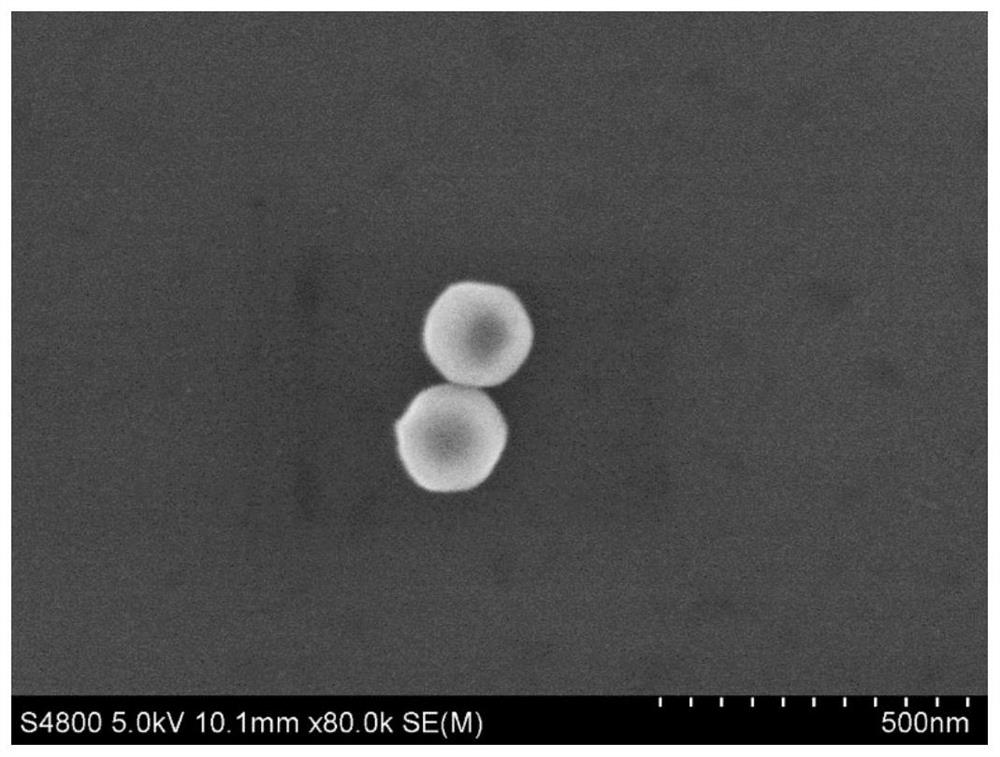 Hollow mesoporous silica composite nano-container with acid-base dual response, self-repairing anti-corrosion coating and preparation method thereof