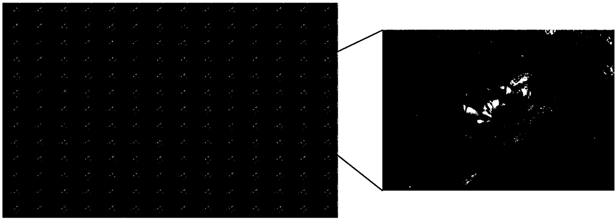 A salient object detection method in optical field based on depth convolution network is proposed