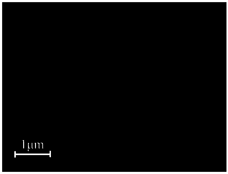 Copper sulfide/bismuth vanadate heterojunction photocatalyst and preparation method thereof