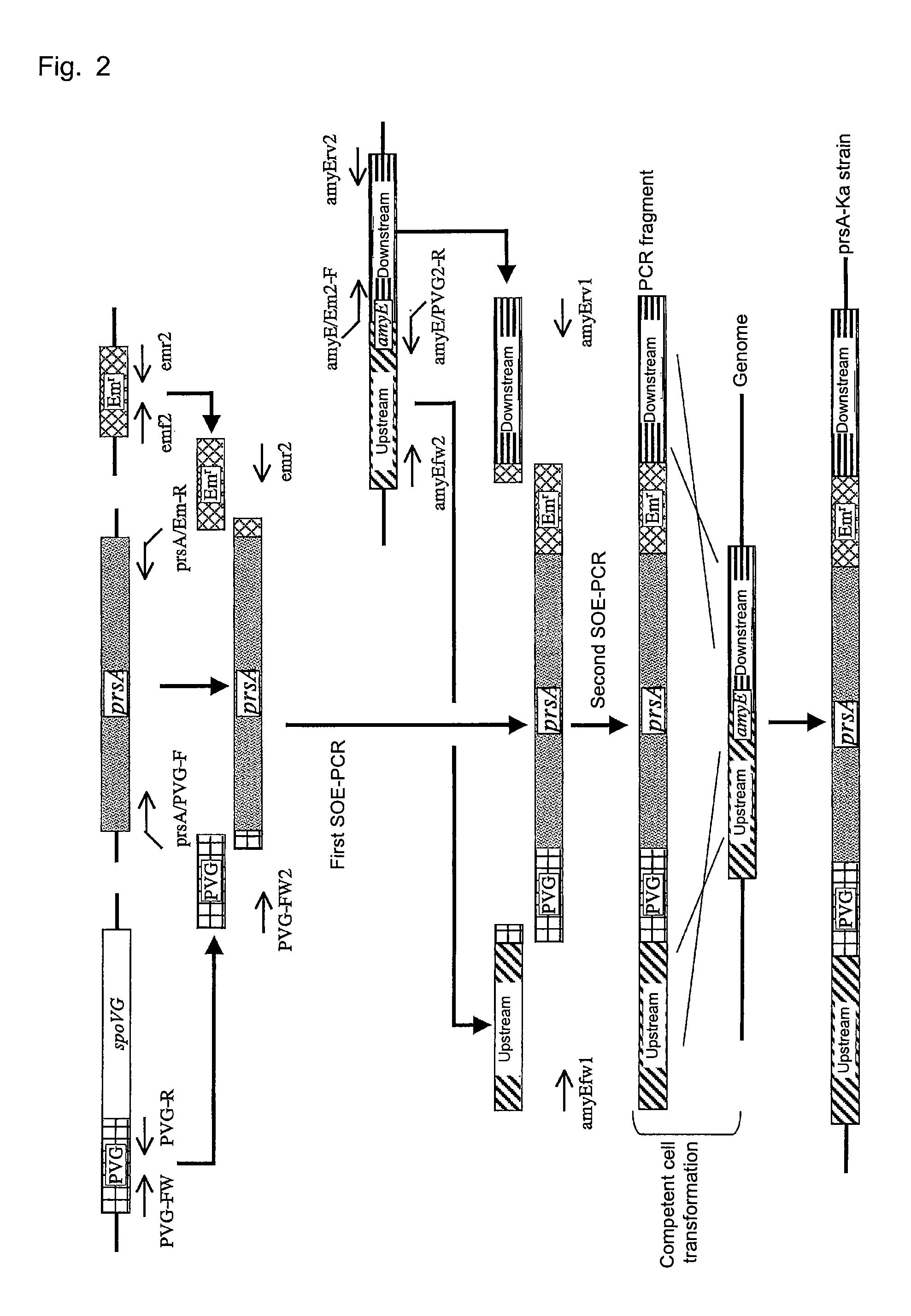 Recombinant microorganism