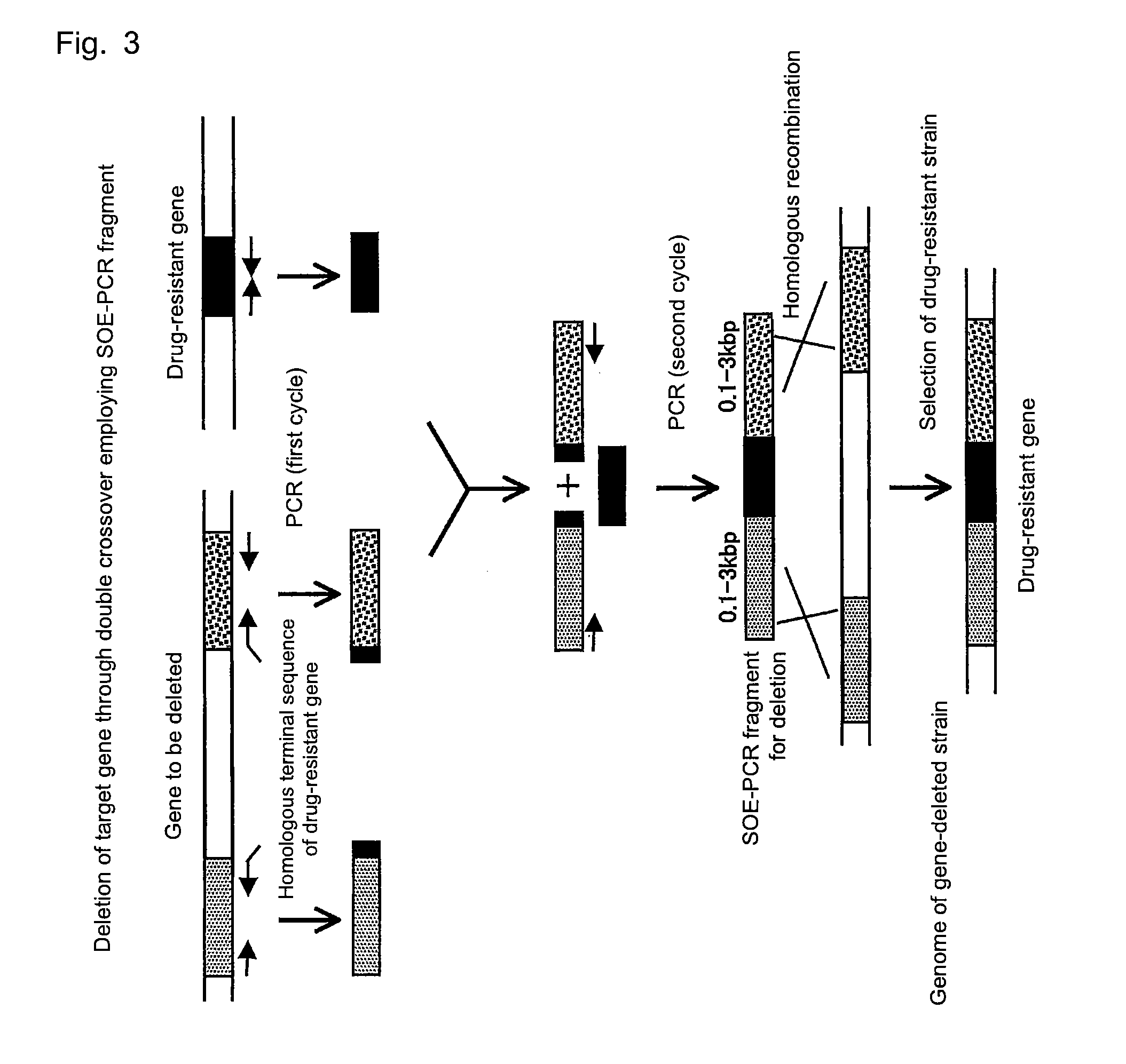 Recombinant microorganism