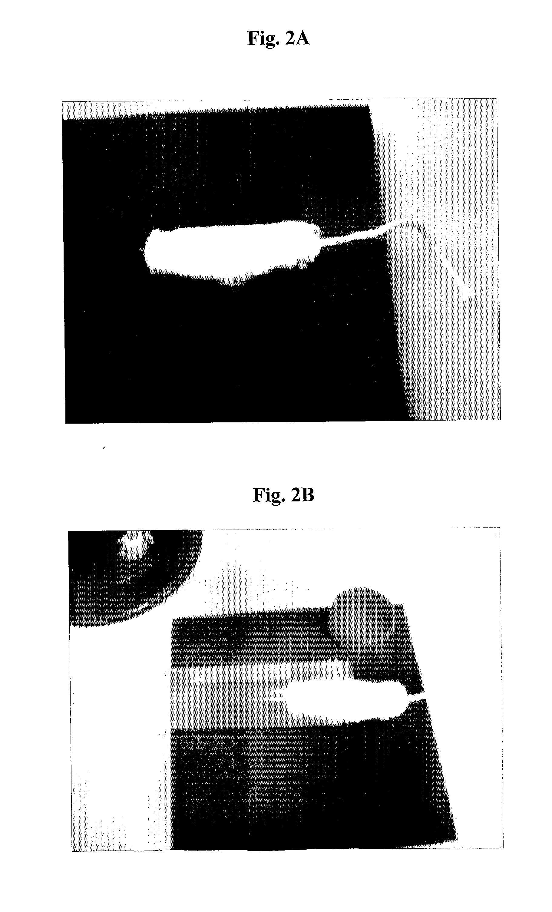 Device for in situ production and topical administration of allicin