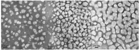 Metal organic gel based on tetrazole compounds