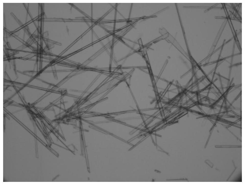 Process for continuously preparing calcium sulfate hemihydrate and calcium sulfate dihydrate whiskers from salty mud