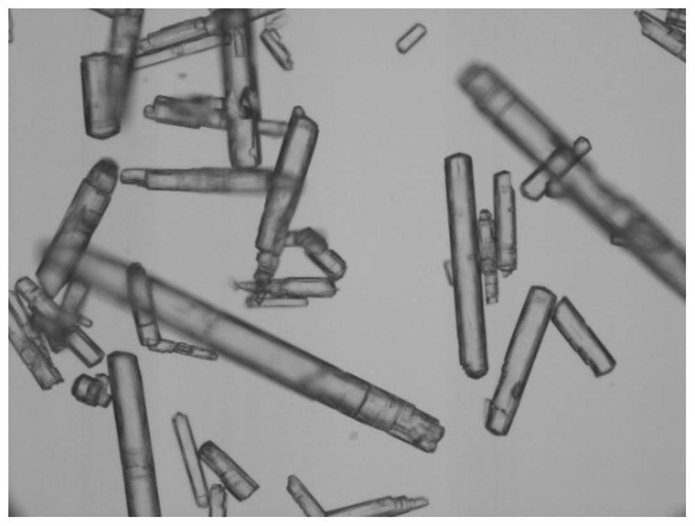 Process for continuously preparing calcium sulfate hemihydrate and calcium sulfate dihydrate whiskers from salty mud