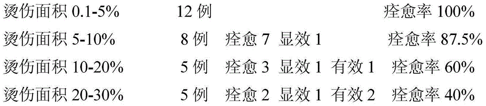 Traditional Chinese medicine composition and preparation method thereof