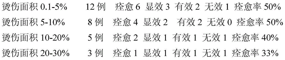 Traditional Chinese medicine composition and preparation method thereof