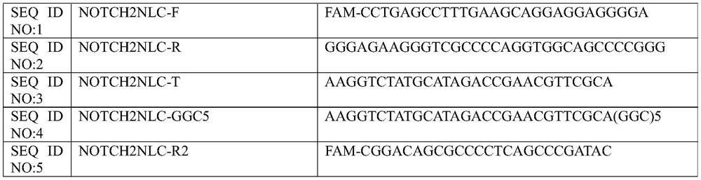 Neuronal intranuclear inclusion disease NOTCH2NLC gene GGC repeat amplification detection kit