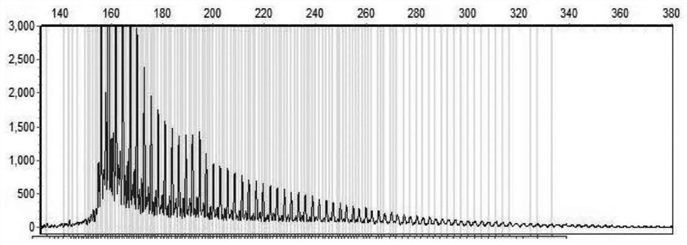 Neuronal intranuclear inclusion disease NOTCH2NLC gene GGC repeat amplification detection kit