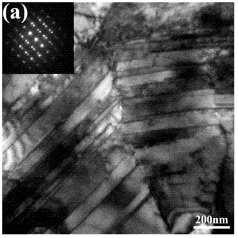 Nanocrystalline nickel with high-density twin structure and preparation method thereof