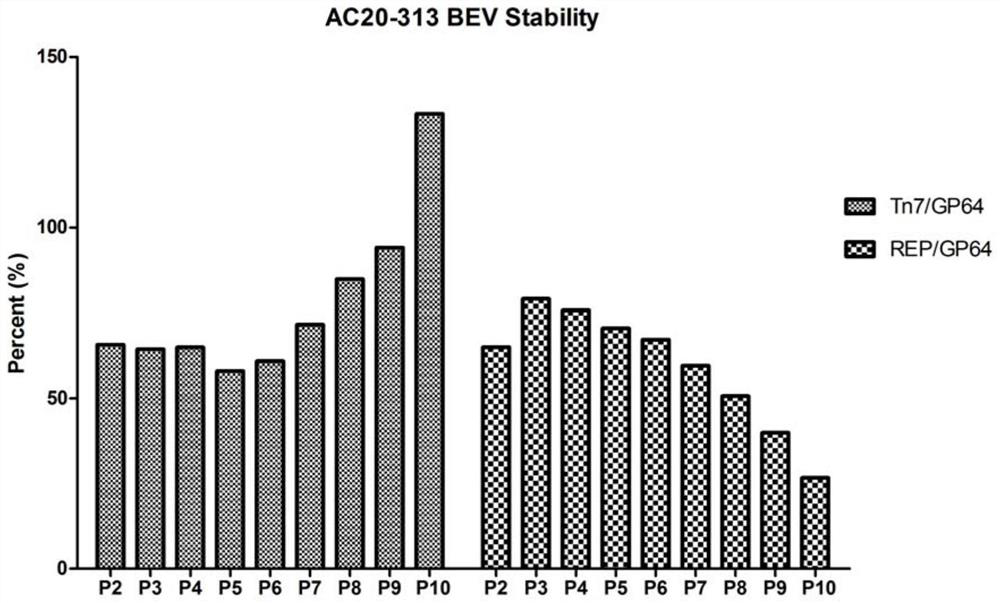 Preparation method and system of recombinant adeno-associated virus and recombinant bacmid