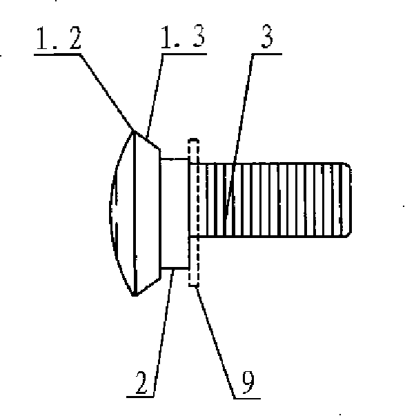 Eccentric screw bolt and its assemblage and construction method