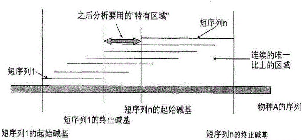 Microorganism detection and identification method and system
