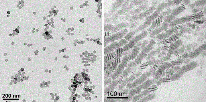 Preparation method for copper-indium-tellurium ultrathin regular semiconductor nanosheets