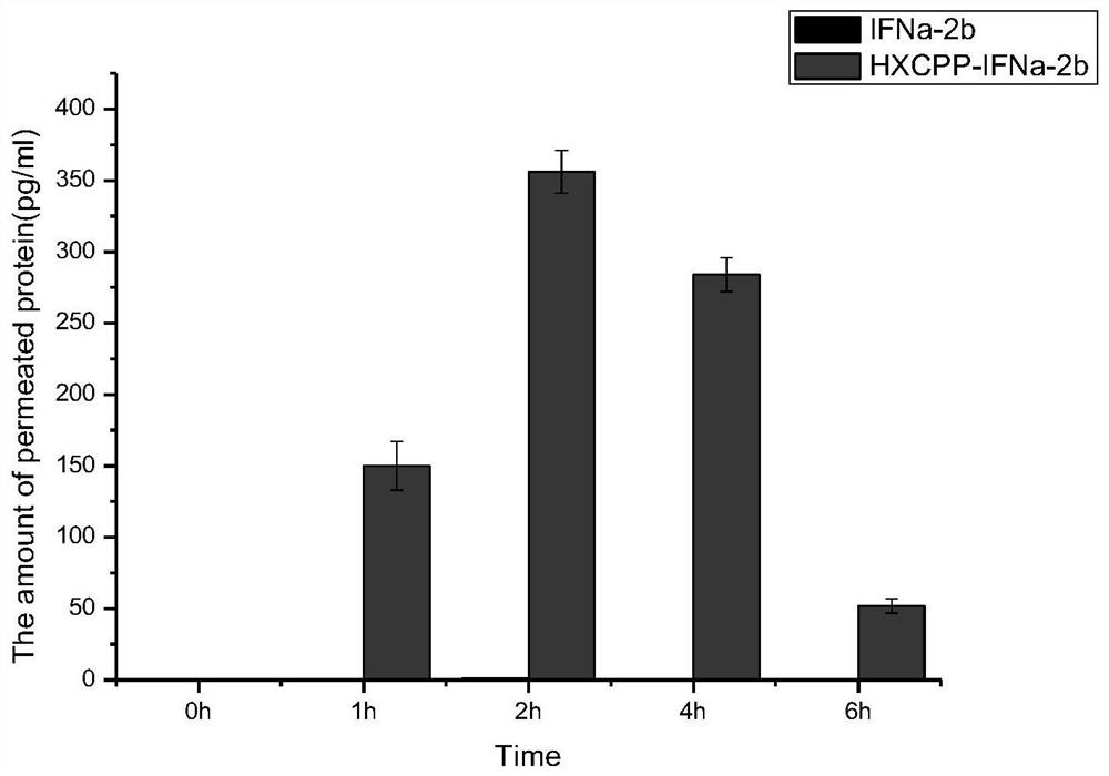 A cell penetrating peptide and bifidobacterium expressing oral interferon