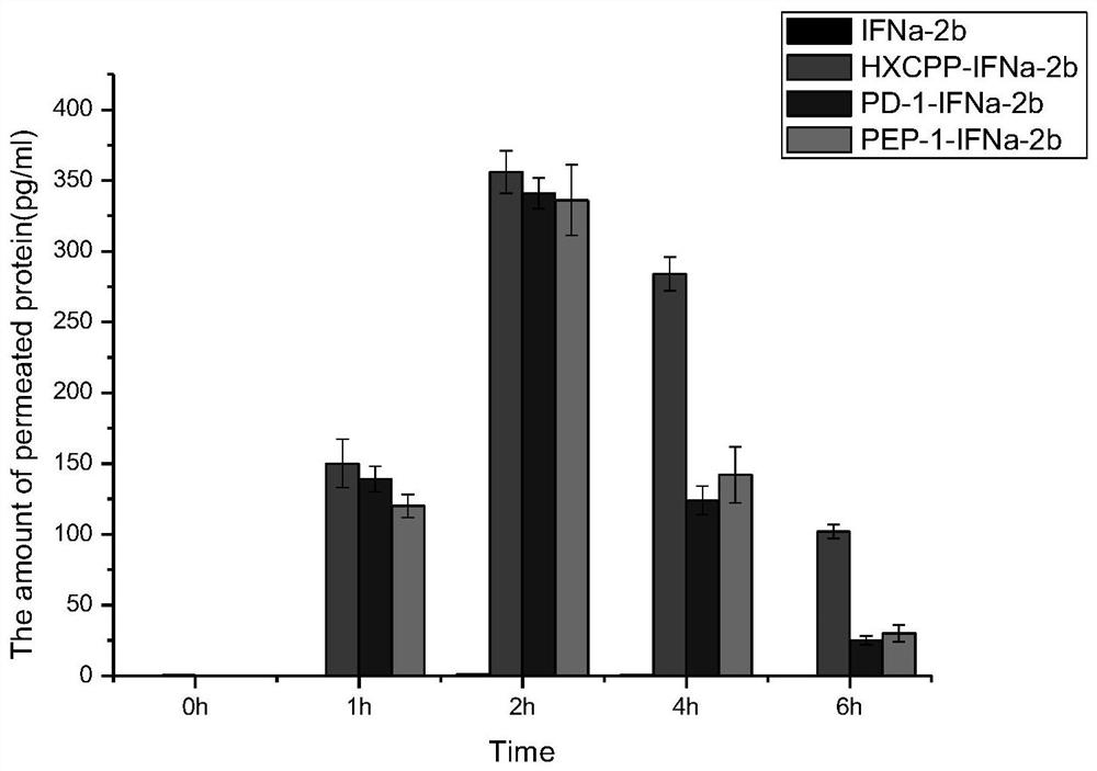 A cell penetrating peptide and bifidobacterium expressing oral interferon