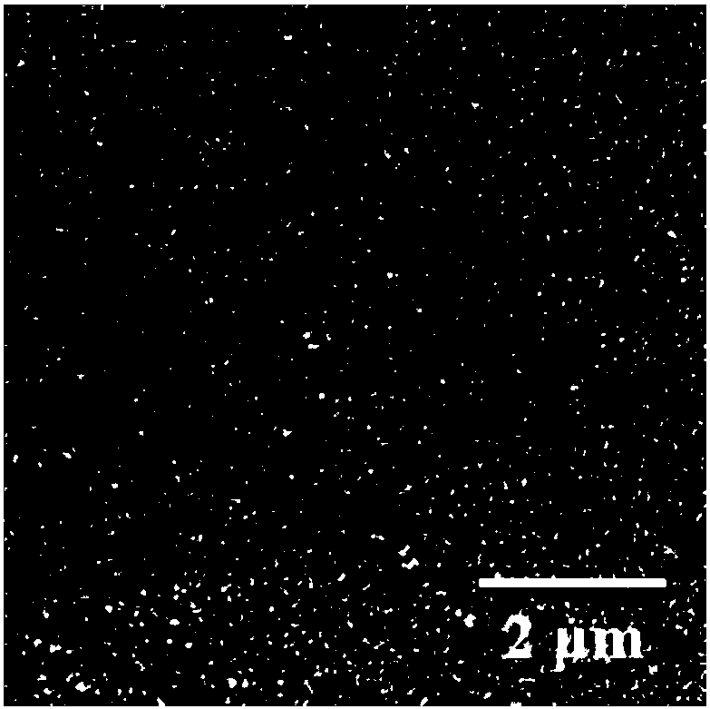 Electrochemiluminescence hydrogel composite material, preparation method and applications thereof