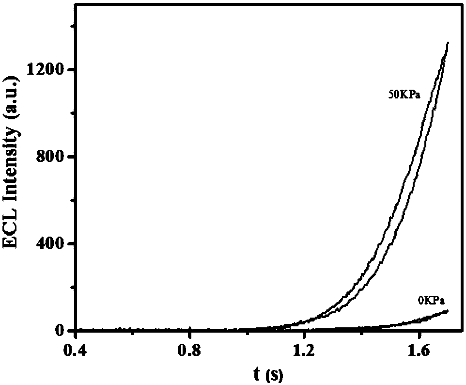 Electrochemiluminescence hydrogel composite material, preparation method and applications thereof