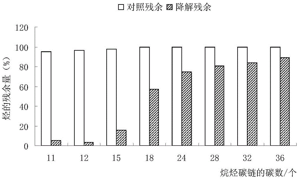 Rhodococcus erythropolis and application thereof