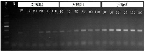 Method and reagent for extraction of viral/bacterial nucleic acid in animal sample