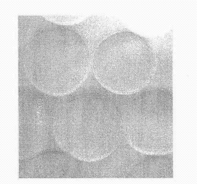 Tissue engineering lung tissue and construction method thereof