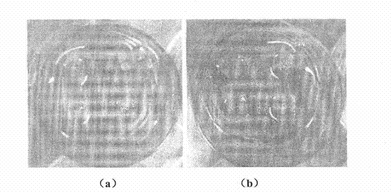 Tissue engineering lung tissue and construction method thereof