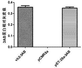 Promoter-like gene for efficiently promoting and expressing heterologous protein and application thereof