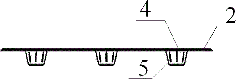 A box type cultivation device