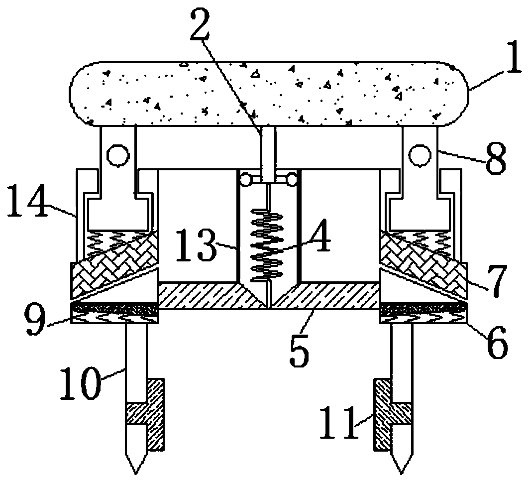 Agricultural planting device for sowing vegetable particles
