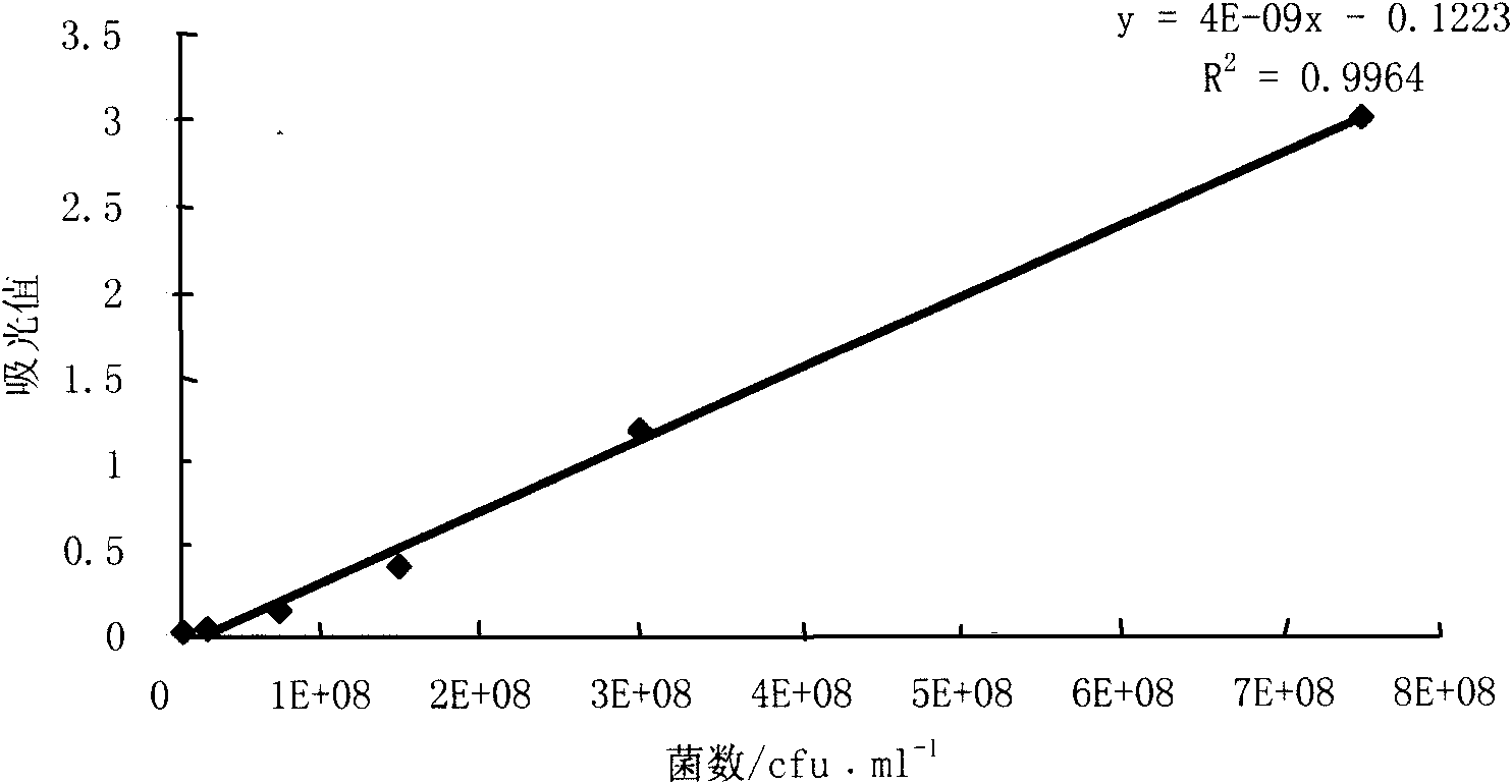 Method for quickly measuring total number of live bacteria of luminous bacteria by using MTT method