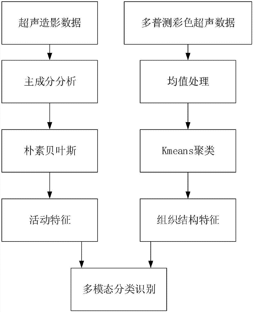 Ultrasound contrast tumor identification method based on multi-mode classifier