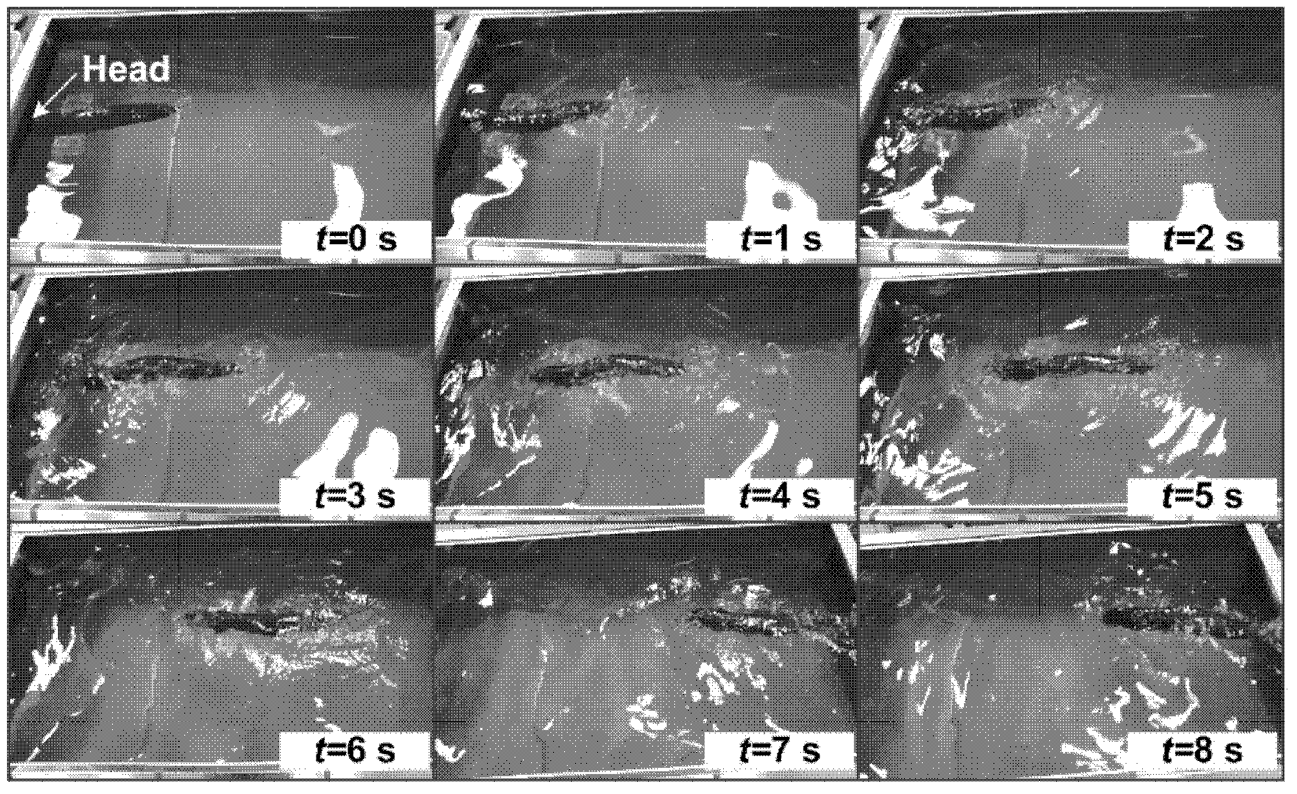 Backward swimming control method of biomimetic carangiform robot fish