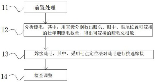 Seven-nourishing beauty eyelash grafting method