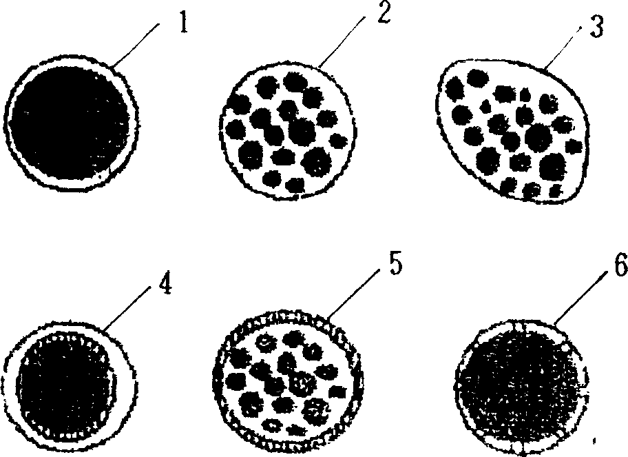 Micromoleculer capsule and its preparation method and application