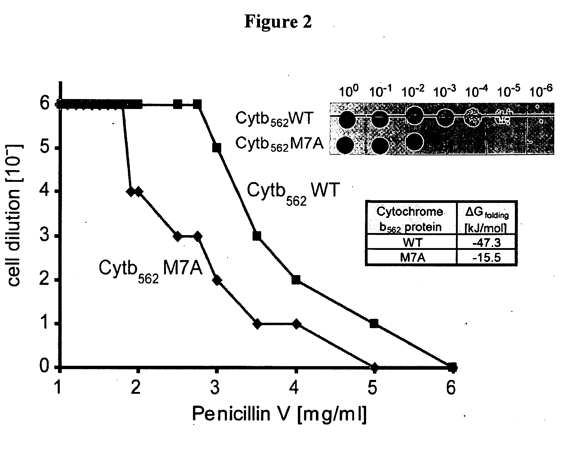Methods and compositions for increasing biological molecule stability