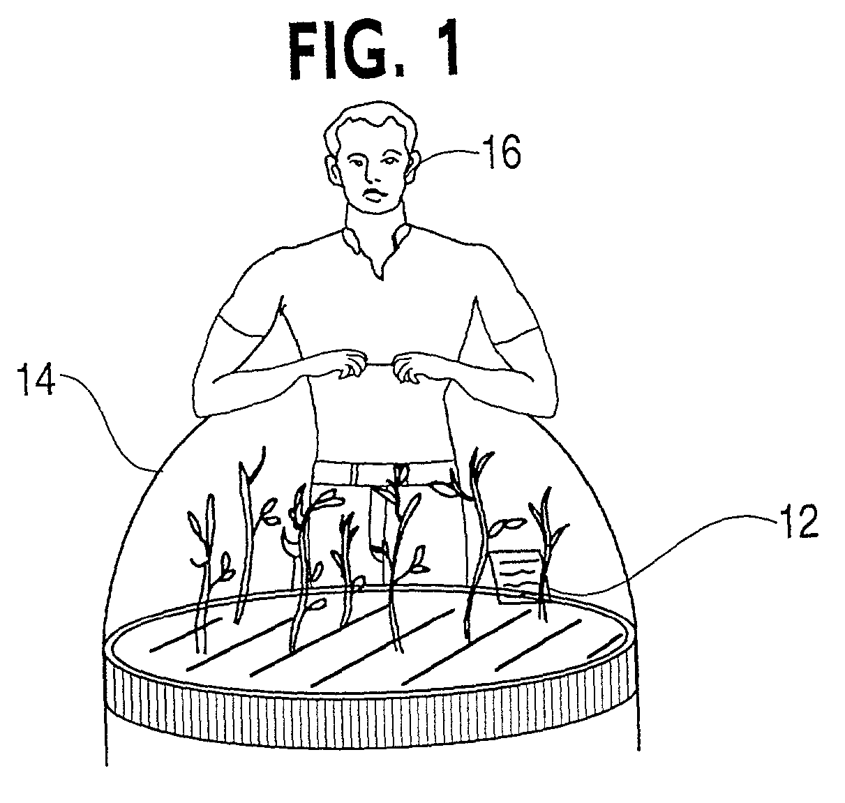 Graphical user interface widgets viewable and readable from multiple viewpoints in a volumetric display