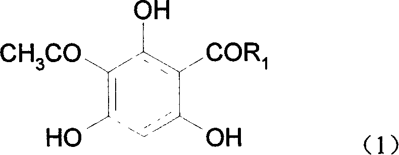 Phloroglucinol acetyl derivative and its synthesis method and uses