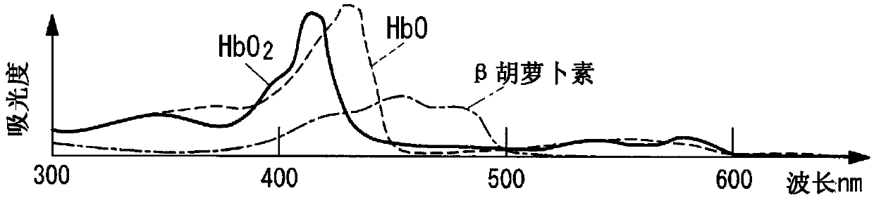 Image processing device, living body observation device and image processing method