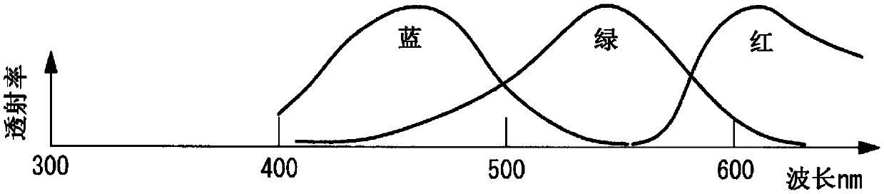 Image processing device, living body observation device and image processing method