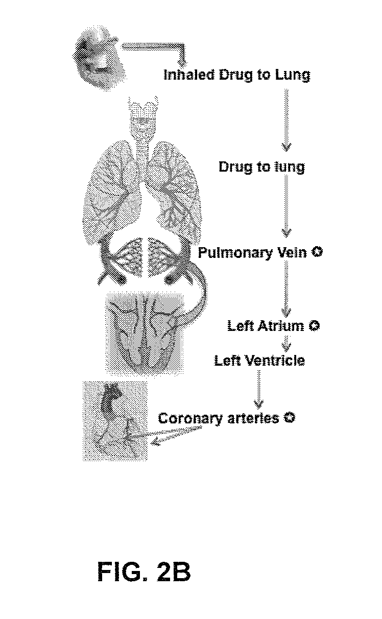 Unit doses, aerosols, kits, and methods for treating heart conditions by pulmonary administration