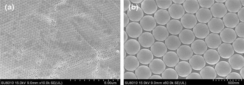 Preparation method of nano-silver inverse opal SERS (Surface Enhanced Raman Scattering) probe for bipyridine herbicide detection