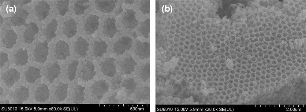 Preparation method of nano-silver inverse opal SERS (Surface Enhanced Raman Scattering) probe for bipyridine herbicide detection