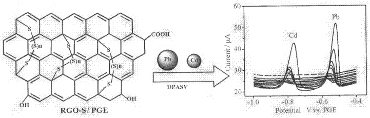Cadmium lead electrochemical detection method based on sulfur-doped graphene