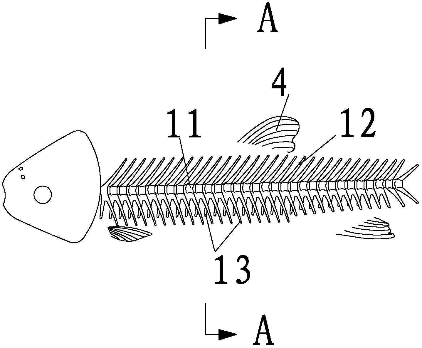 Method for separating loin from backbone meat of crisp grass carp