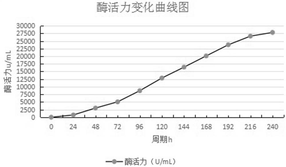 A Laccase-Producing Mutant Thromba Trametes and Its Application