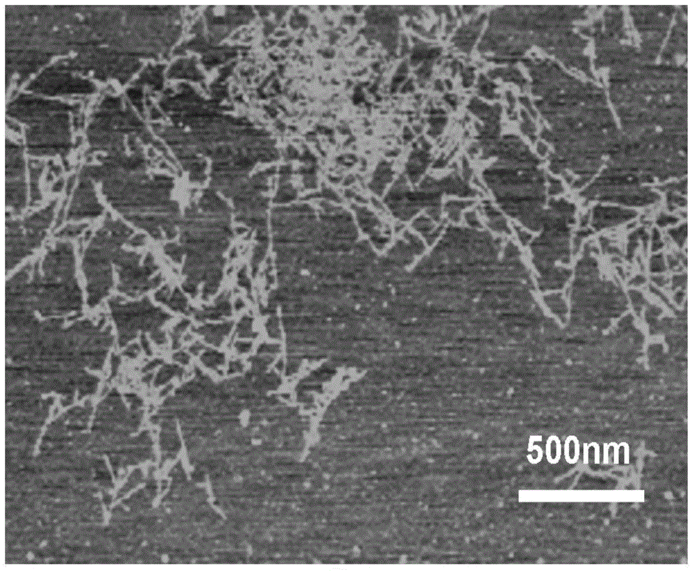 A kind of material for promoting fistula repair and its preparation method