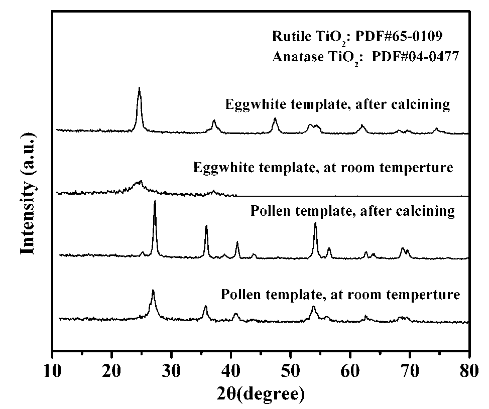 Green biomimetic preparation method of titanium dioxide nano material