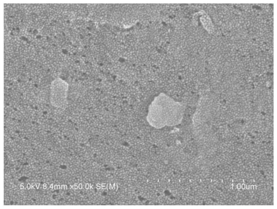 A preparation method of in-situ immobilized laccase ultrafiltration membrane, a treatment method of phenol-containing wastewater