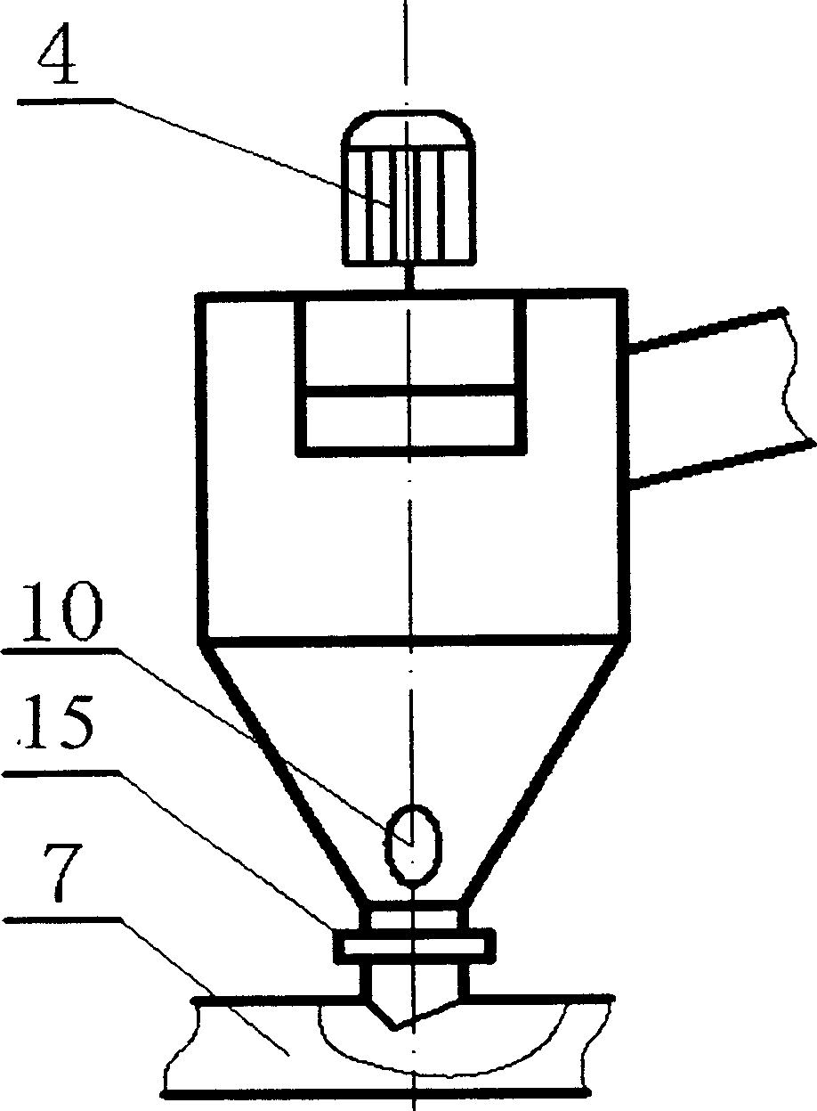 Separation device for solid fermented fungus spore and separation method